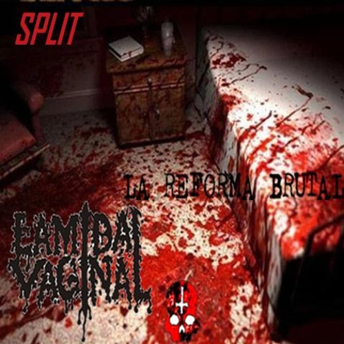 Split: La Reforma Brutal / Lamida Vaginal